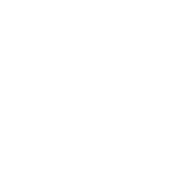 Chiropractic Care / Spinal and Extremity injuries 